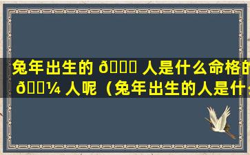 兔年出生的 💐 人是什么命格的 🐼 人呢（兔年出生的人是什么命格的人呢男孩）